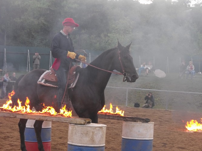 DSCF1647.jpg