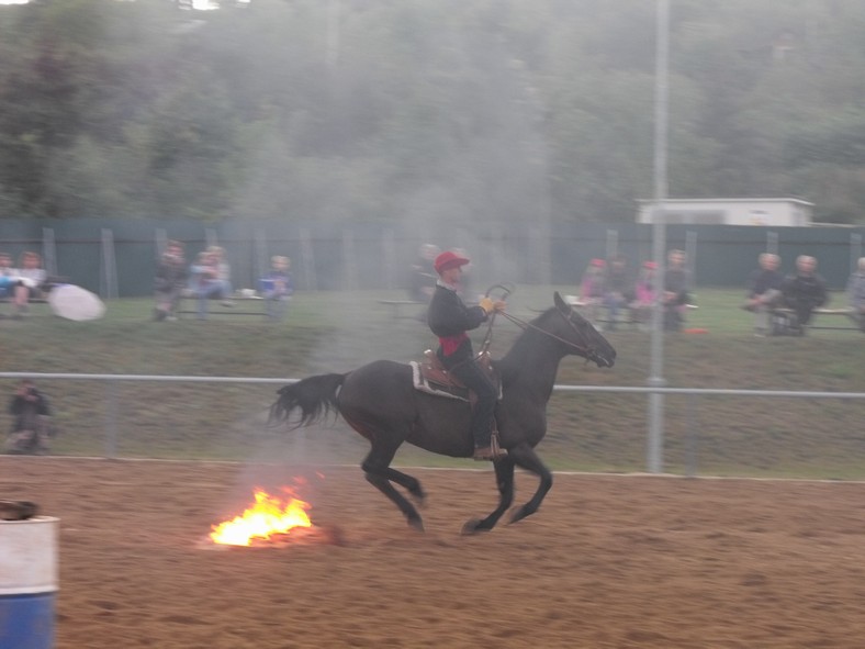 DSCF1648.jpg