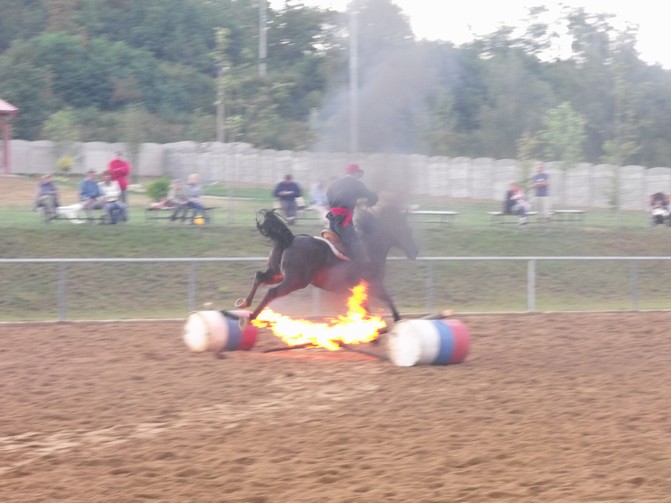 DSCF1650.jpg