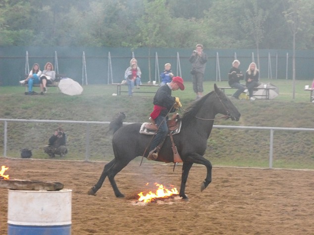 DSCF1654.jpg